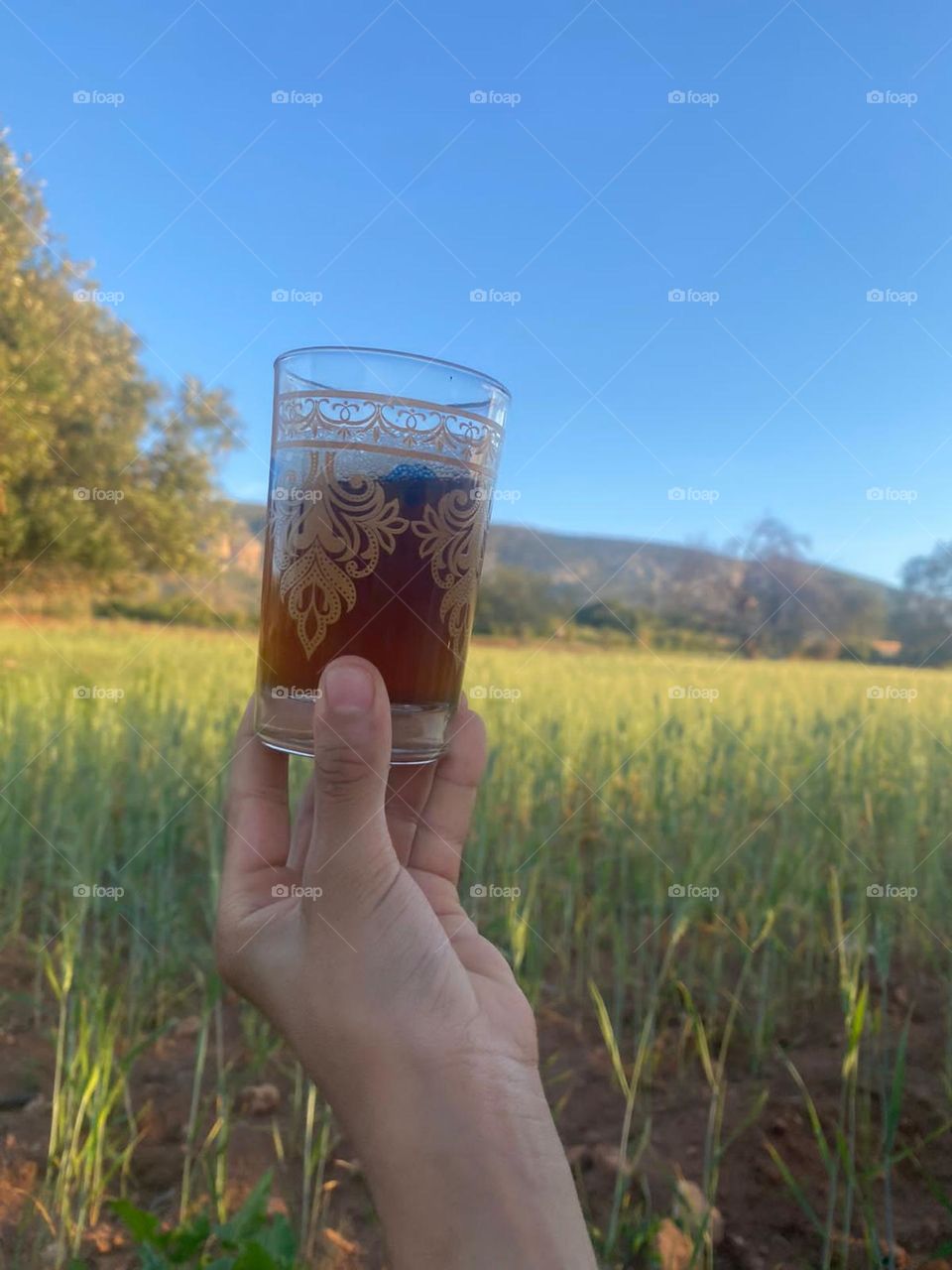 Beautiful and nice cup of tea in nature in spring  at essaouira in Morocco