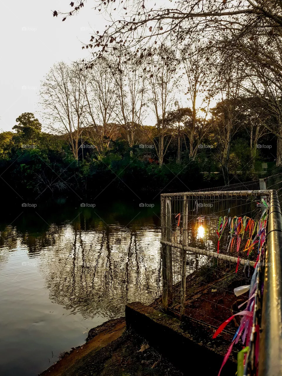 Parque