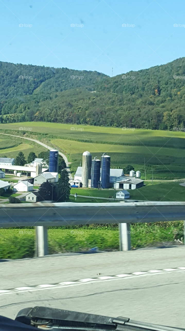 farm on somerset mt