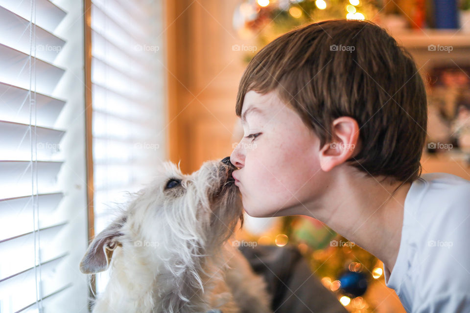 Doggie love during the Holidays