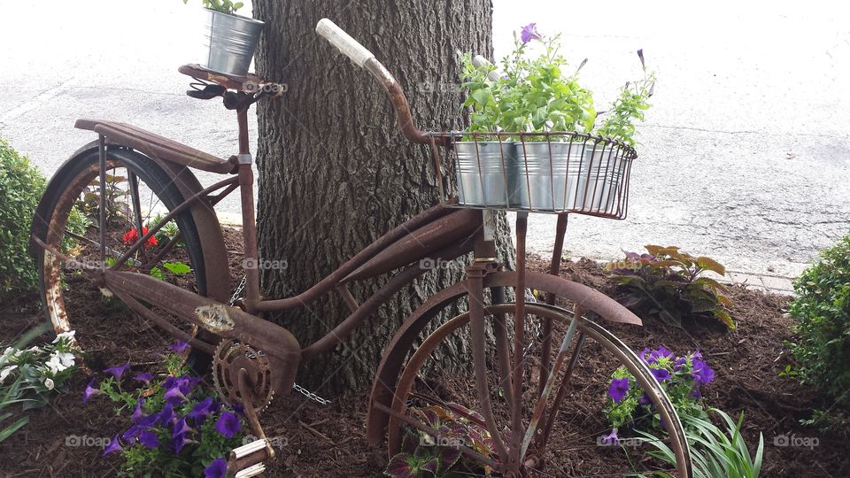 old bicycle planter. garden decor