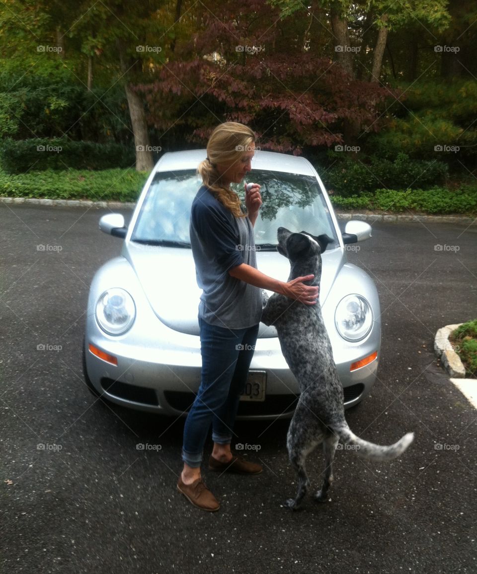 A girl, her dog and her beetle
