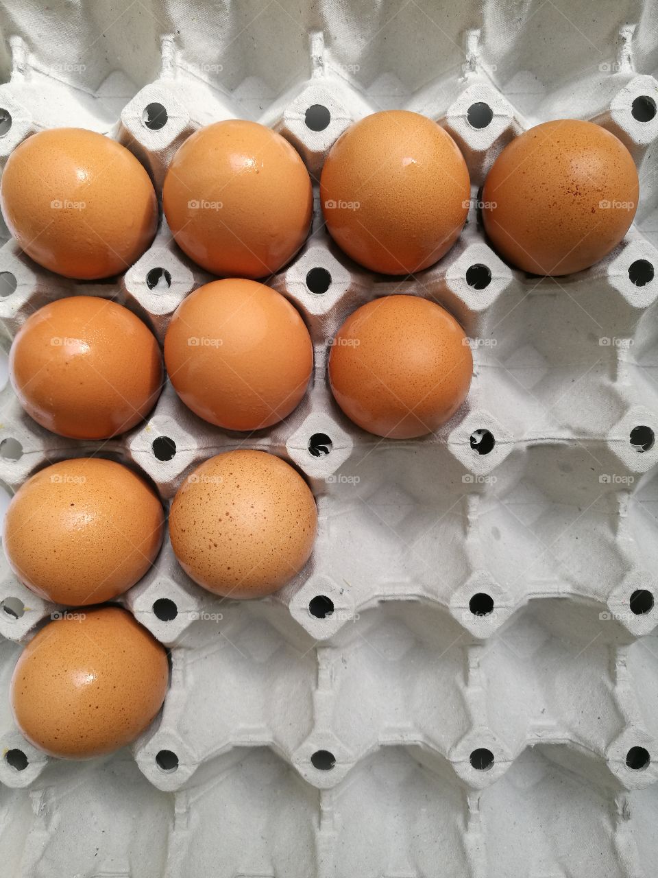 Eggs in tray