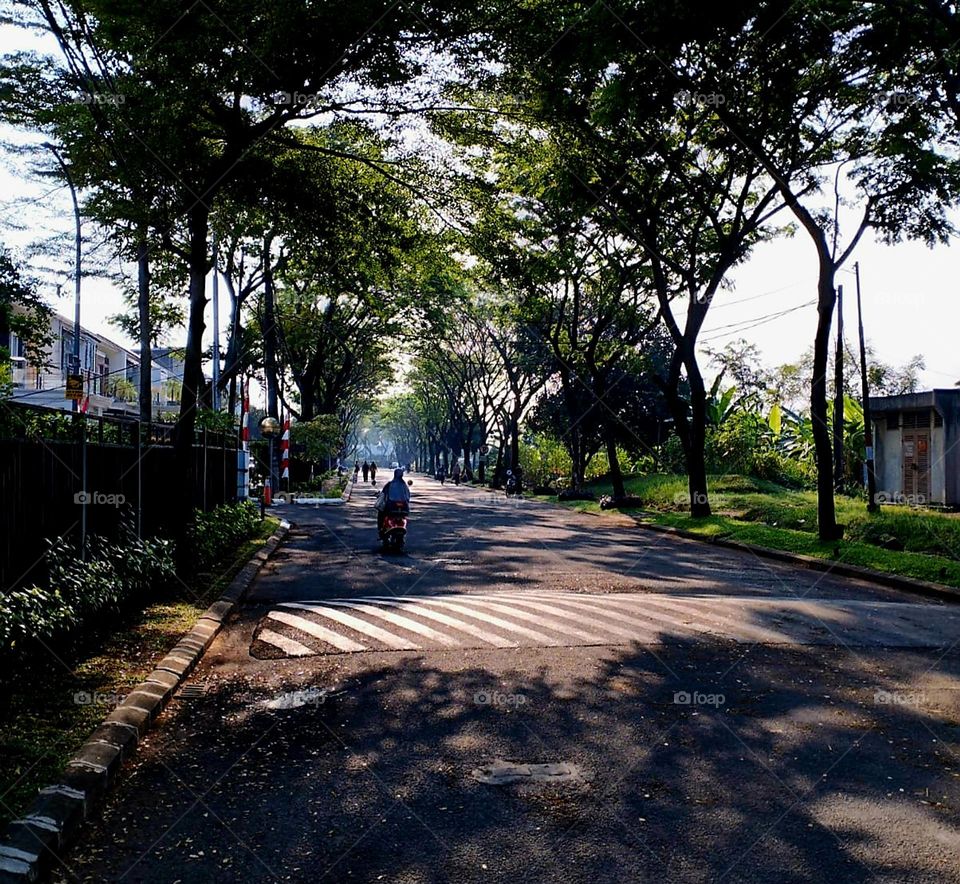As Far As The Eye Can See, Very Calm, Comfortable and Peaceful