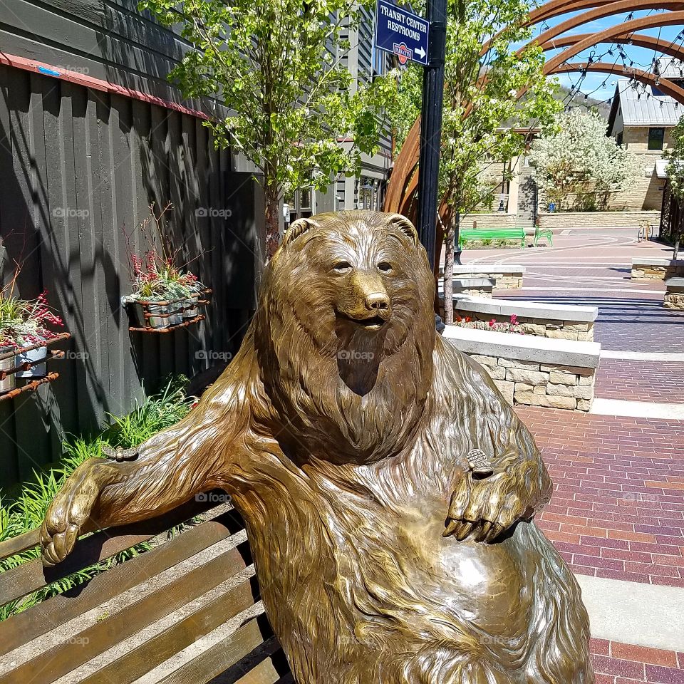 Bear Sculpture in Park C
