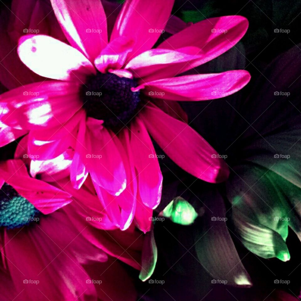 breathtaking. lighting effects