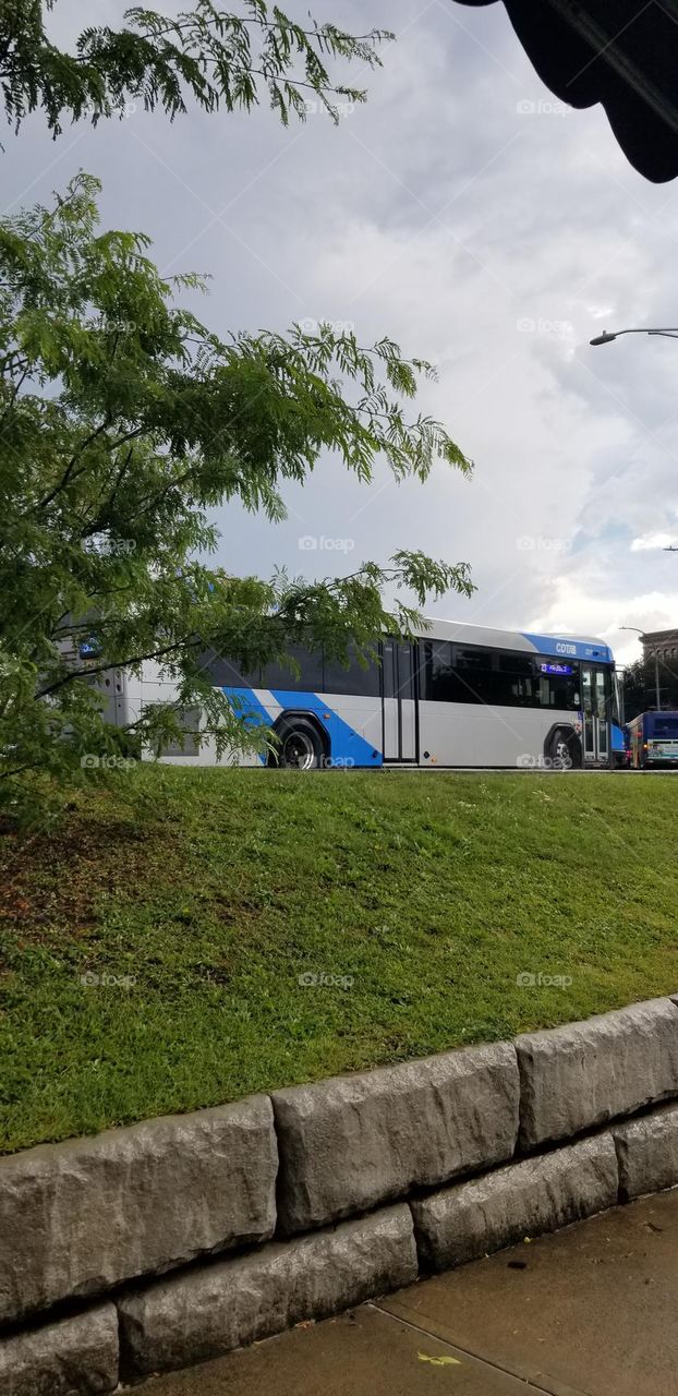 Blue And White City Bus