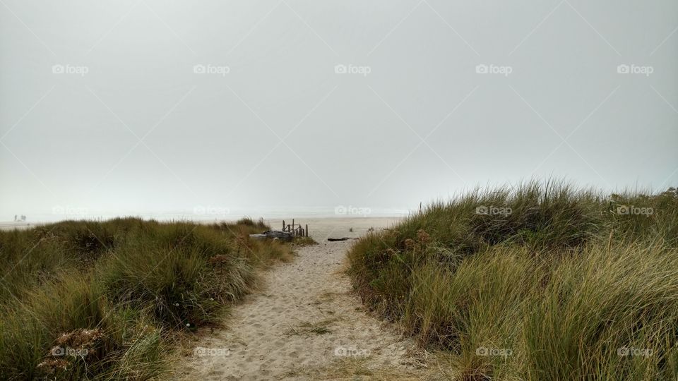 Beach Path