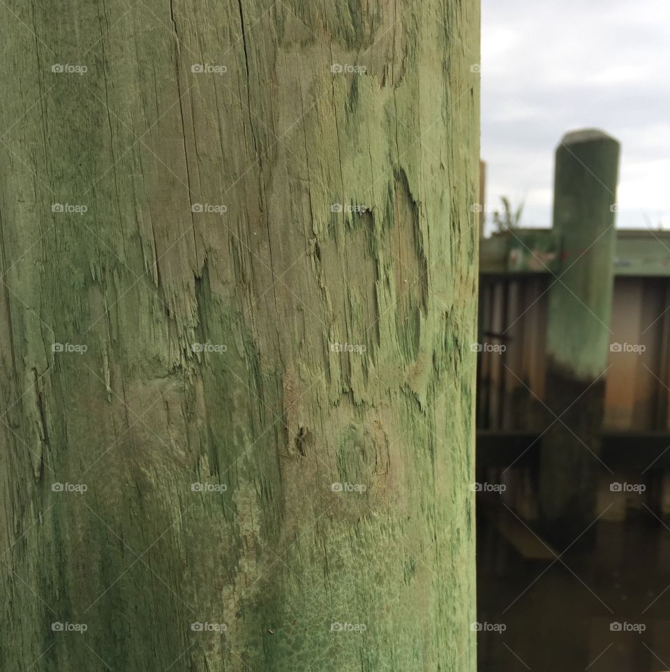 Green piling