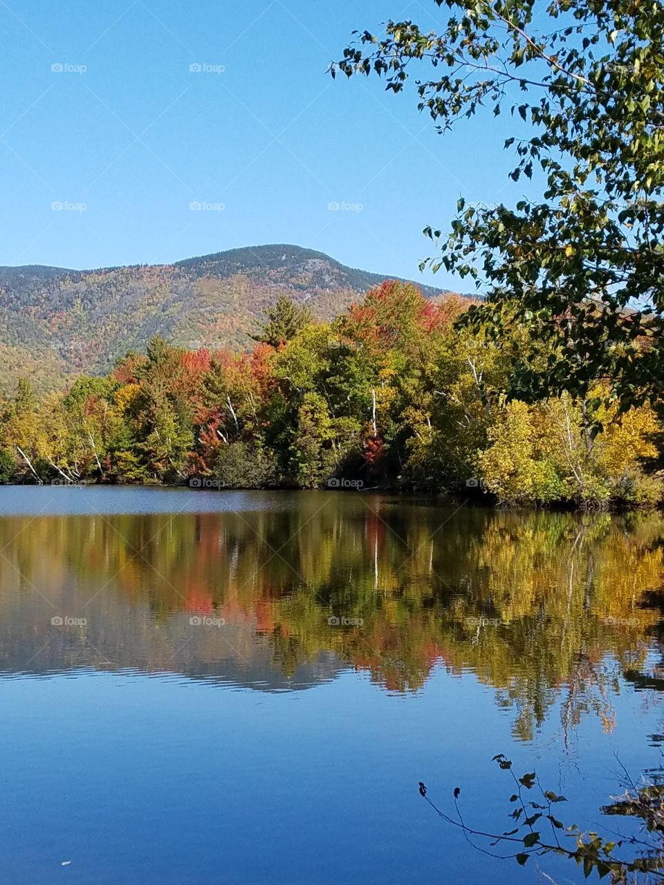 Reflection of autumn trees in lake