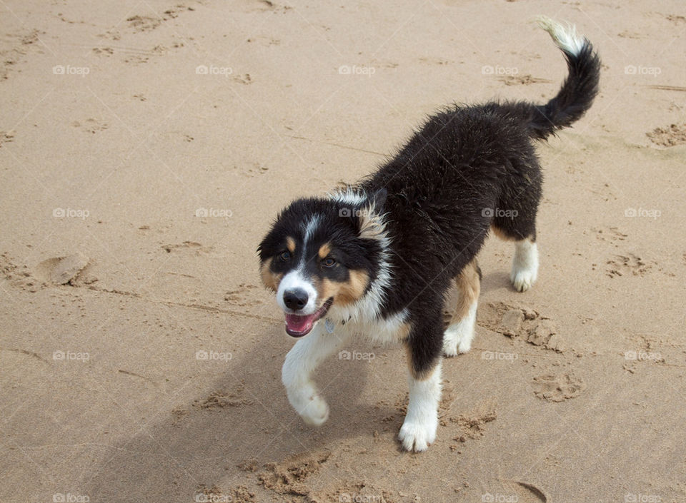 Fun at the beach