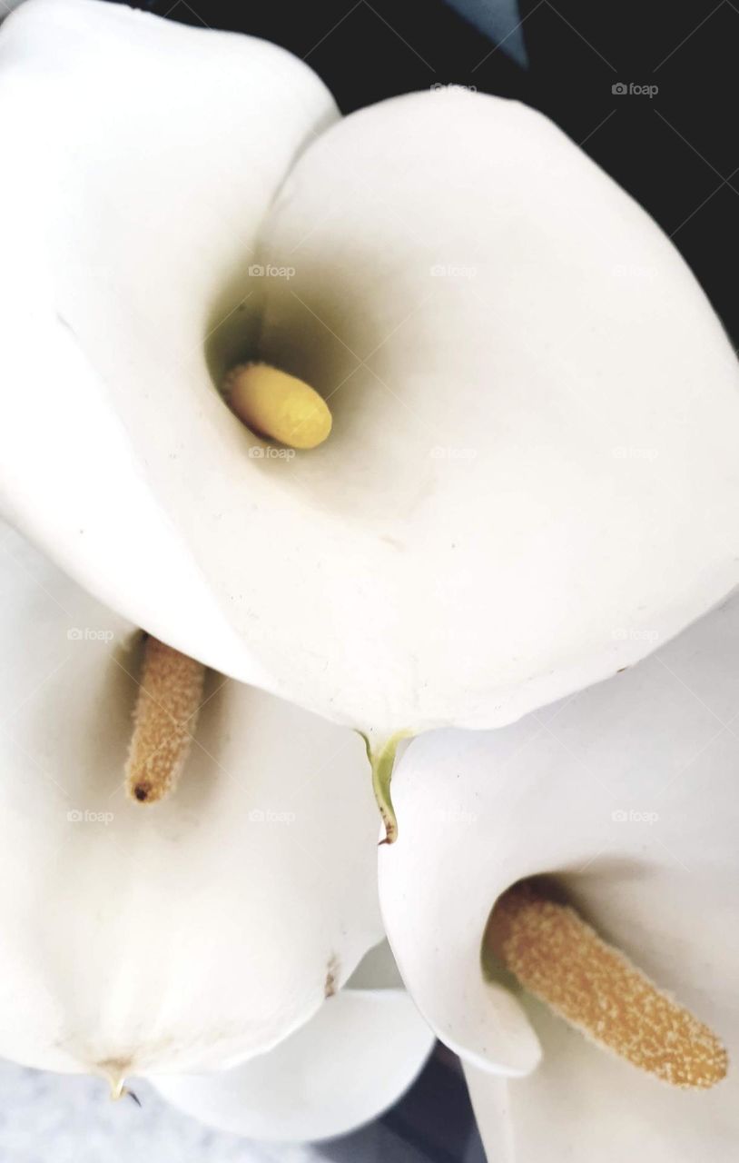 beautiful bouquet of flowers, white calla