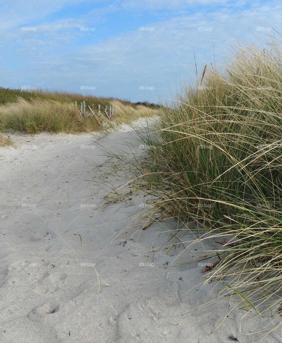 düne Sand Strand Meer kies gras