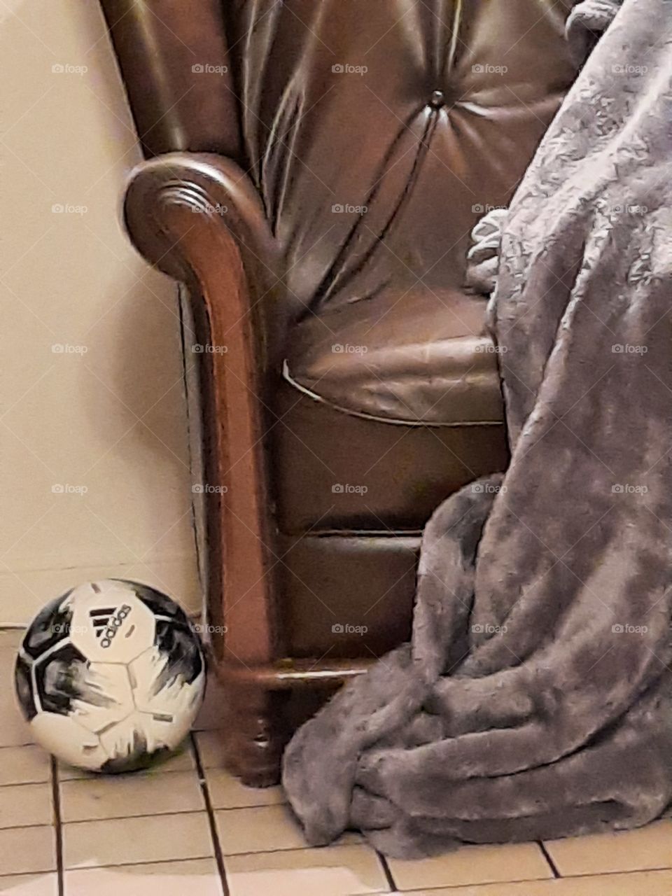 get cozy - leather armchair soft blanket and a ball