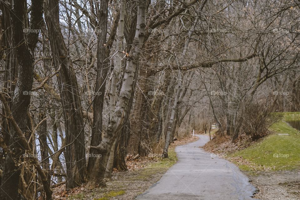 Hiking trail in OH