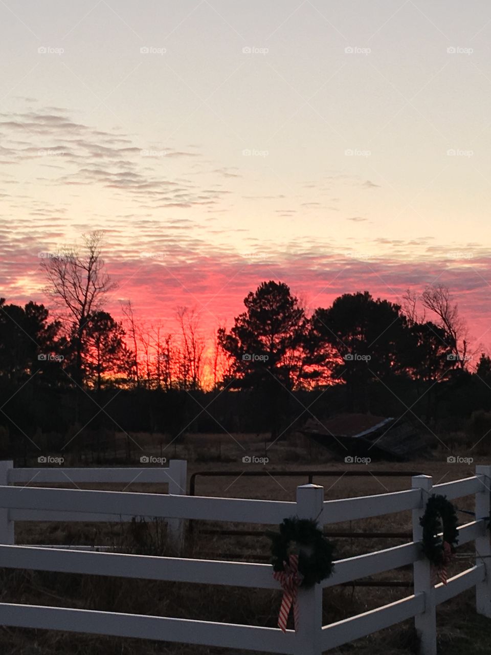 Sunset on the farm 