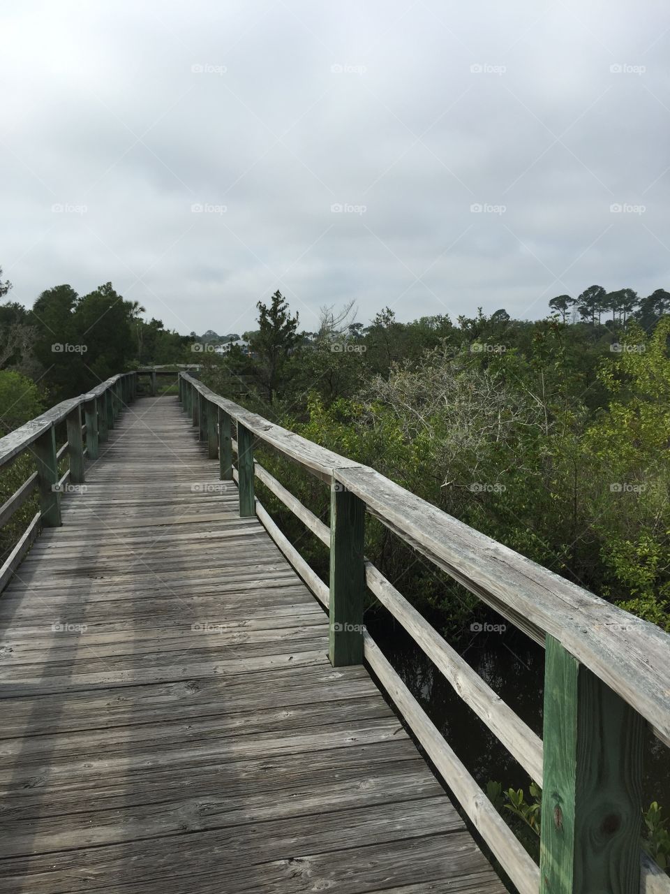 Florida park with Boardwalk in the rain.