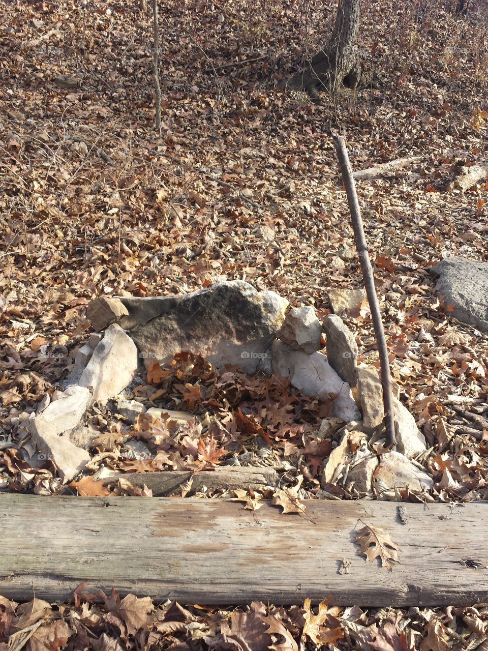 monkey mountain views