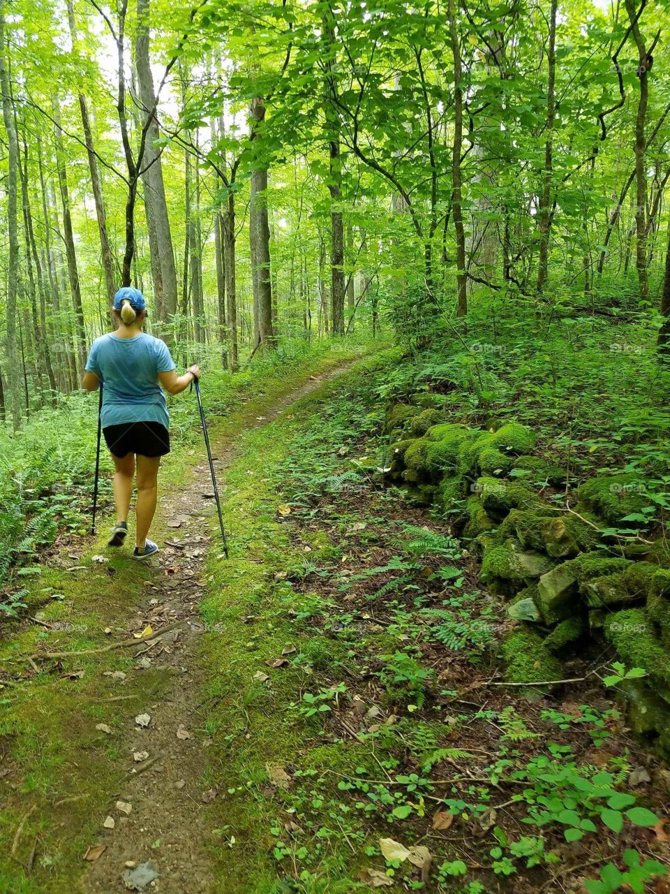 Green & Peaceful Path