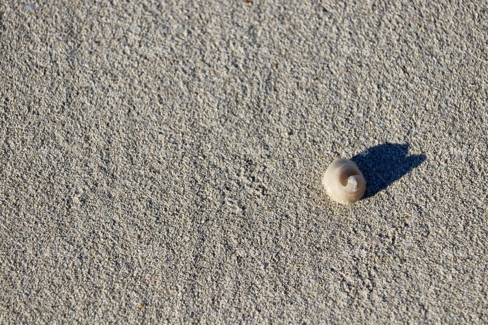 Gritty texture sand, smooth texture seashell 