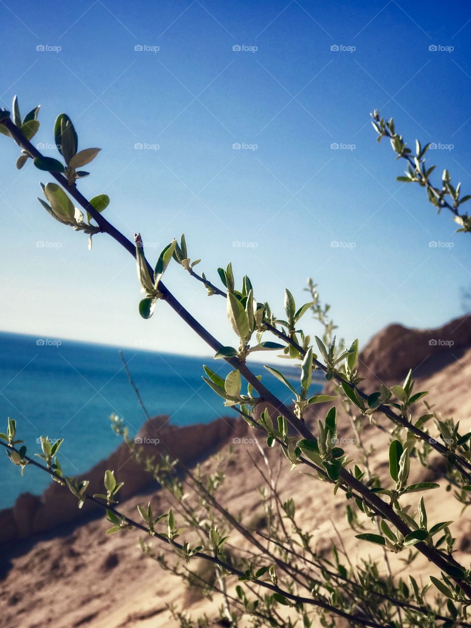 Nature is beautiful, nature is essential to our peace, for it is our home. It is our sanctuary. 