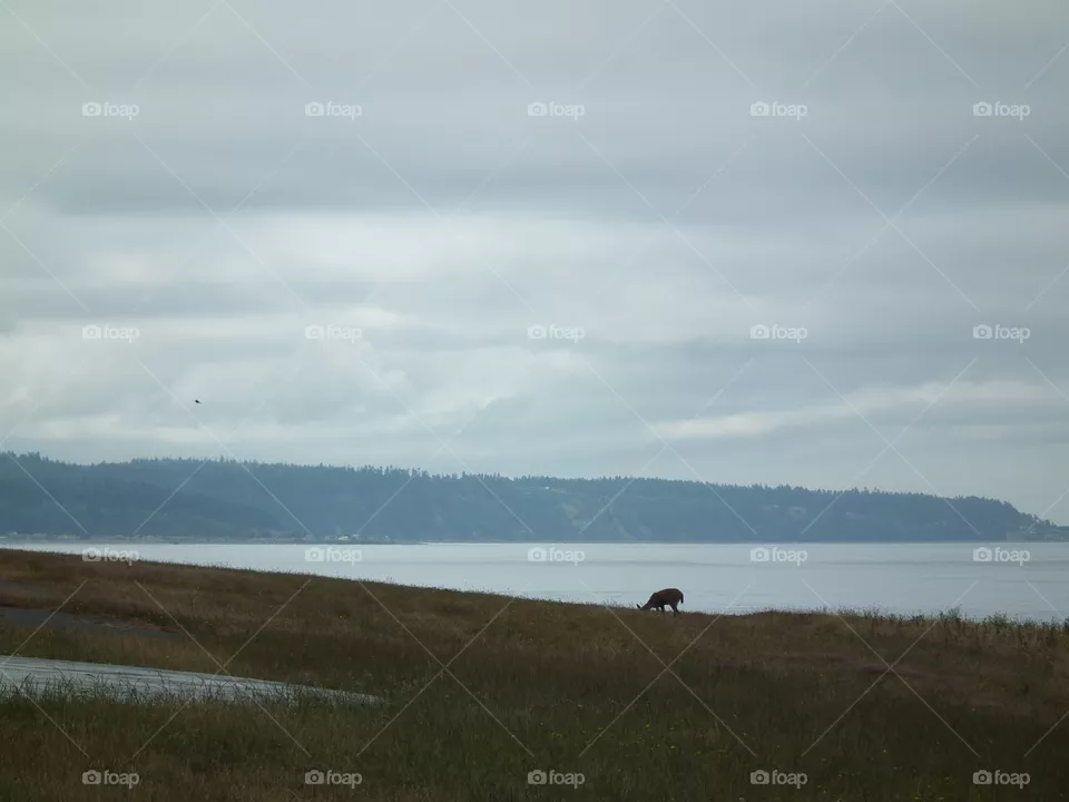 bay