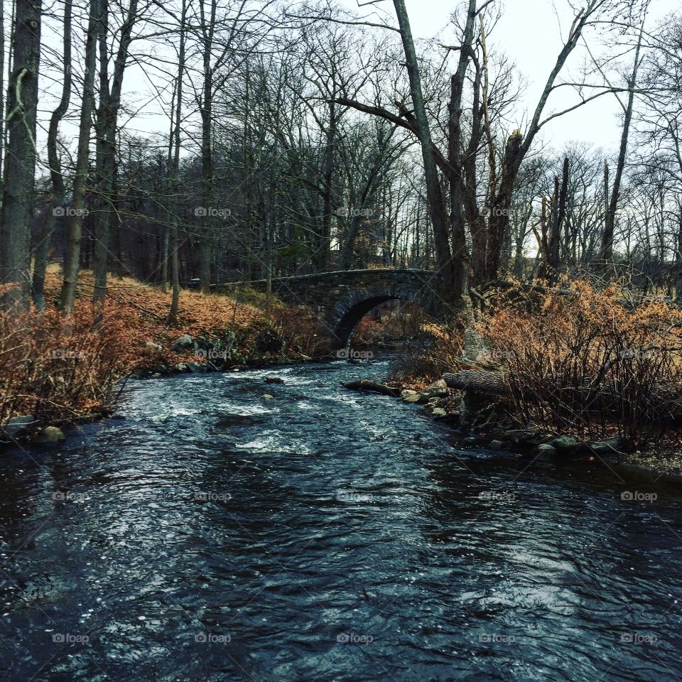 After a week of running the streets of London and Stockholm it was great to get back into the woods. This morning was a reminder to keep supporting nature and science. I get lost out here and two hours of running this morning wasn't enough time.