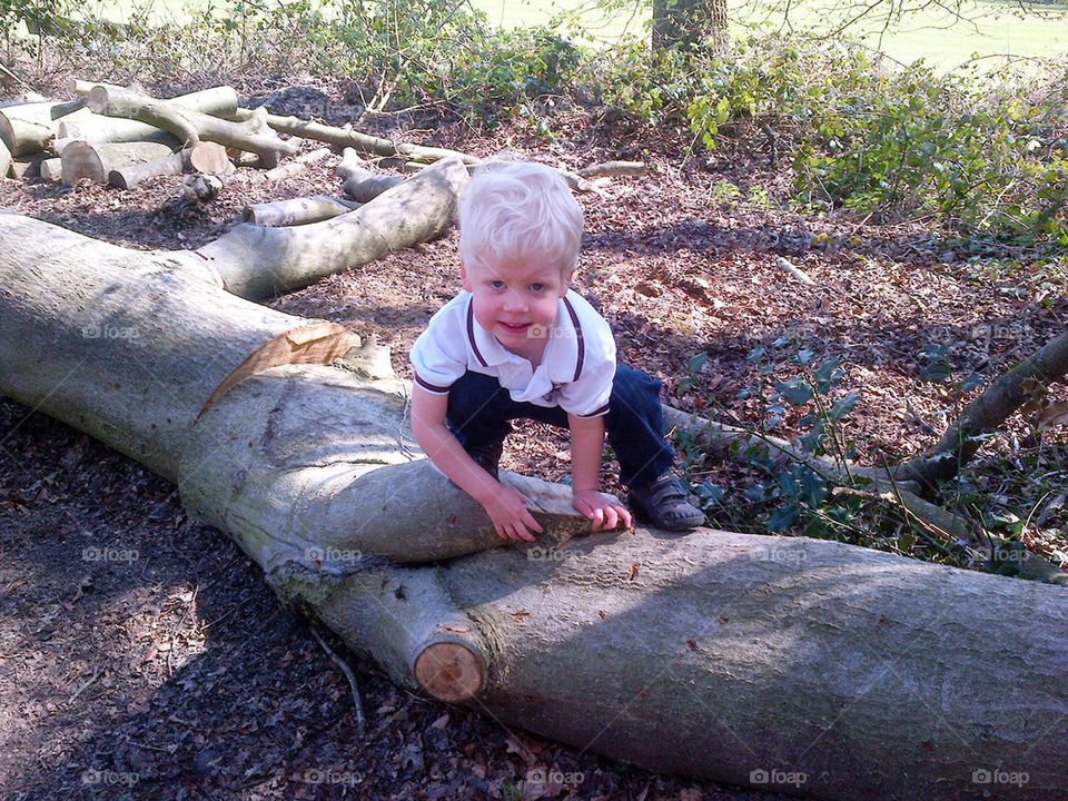Adventures on a tree trunk.