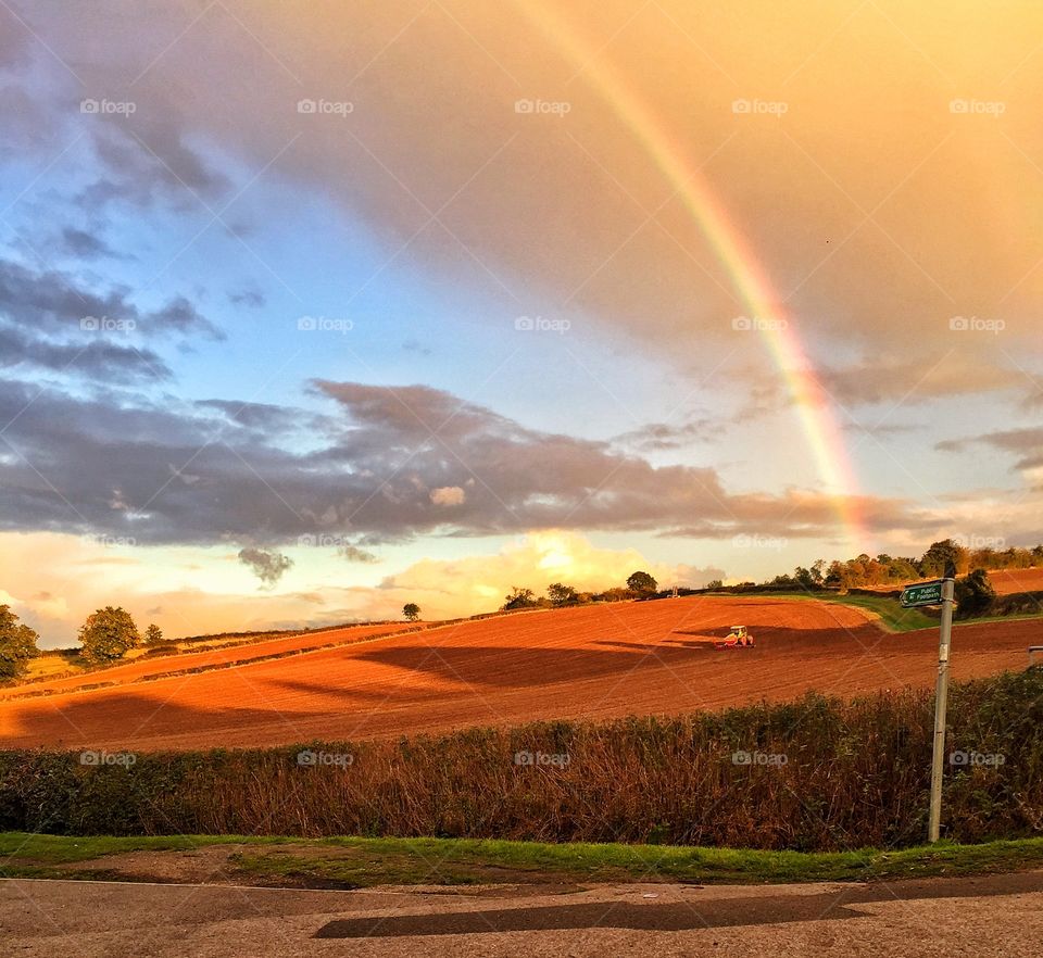 Rainbow in the sky against grassy land