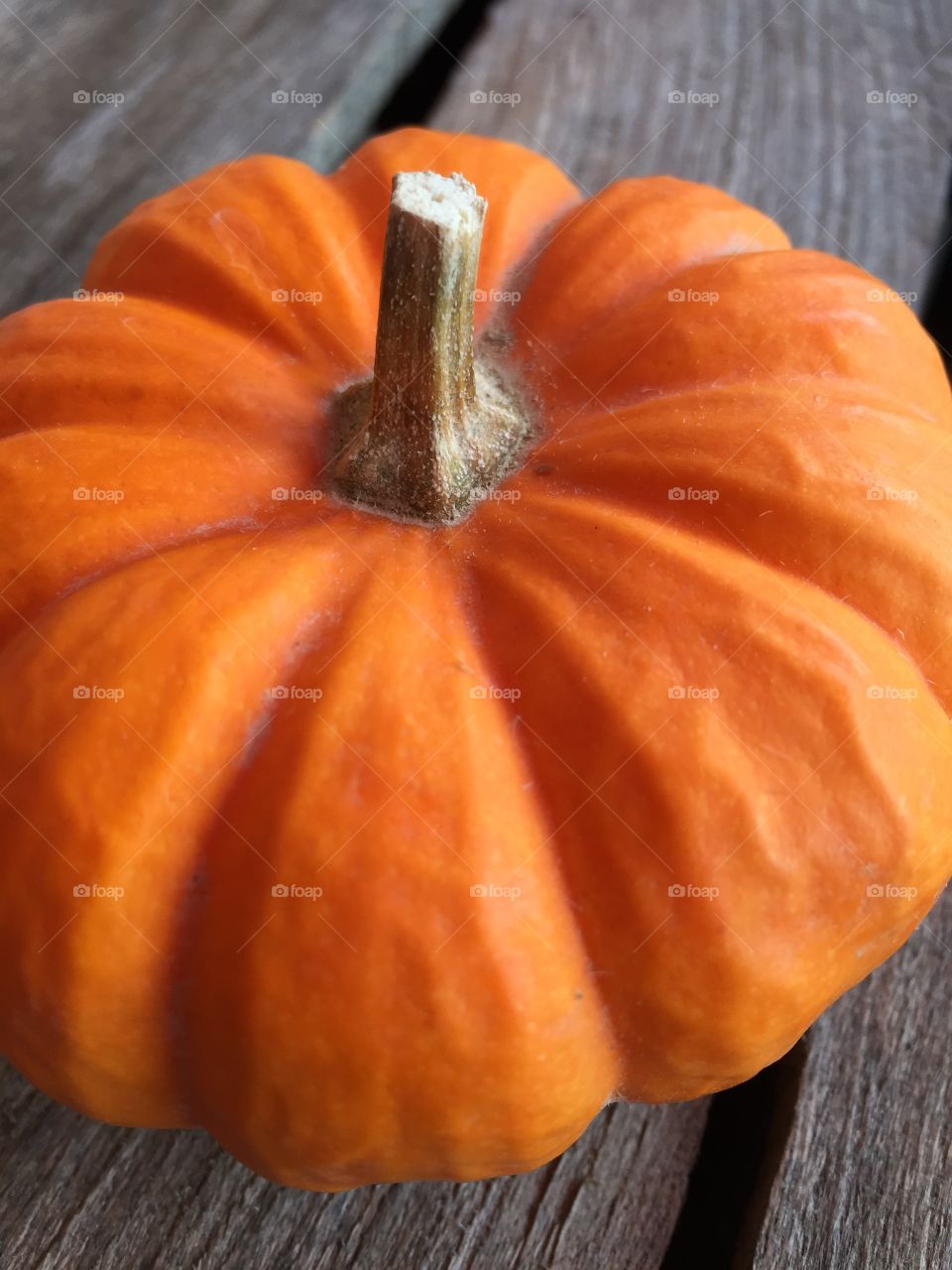 Mini pumpkin 1
