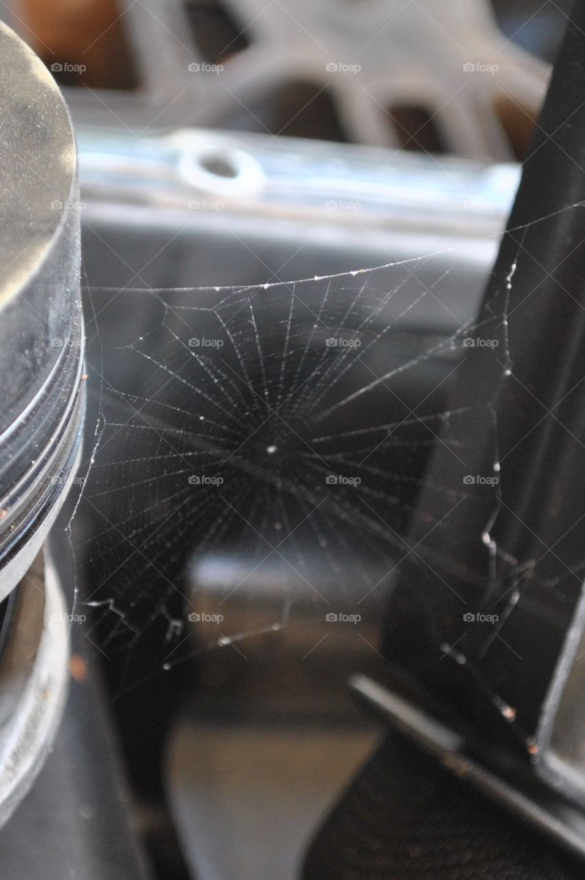 a spider web