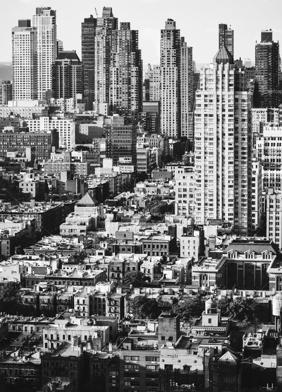 All about Big Apple