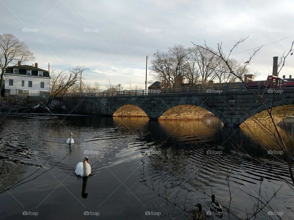 Water, Reflection, River, Winter, No Person