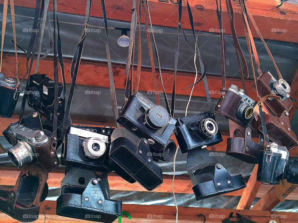 Old models of cameras from different years hang on a wooden showcase.