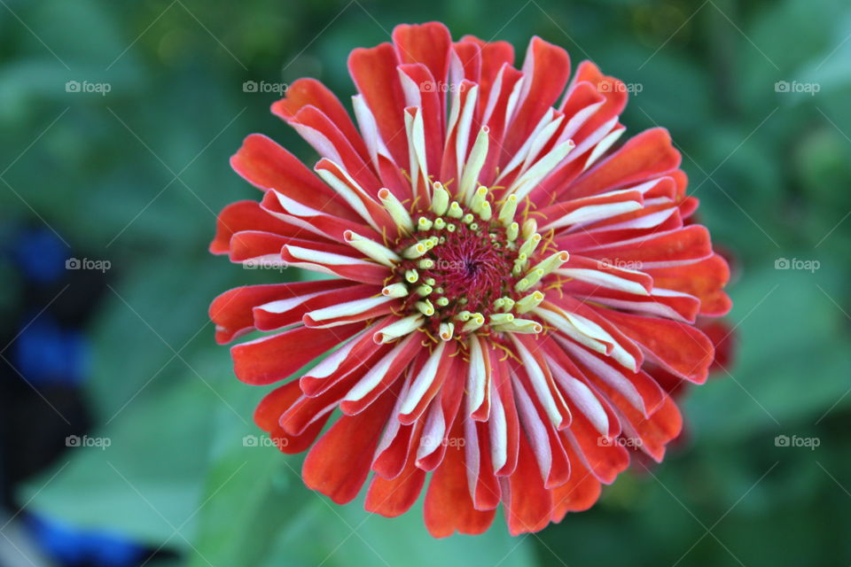 West Sac Community Gardens