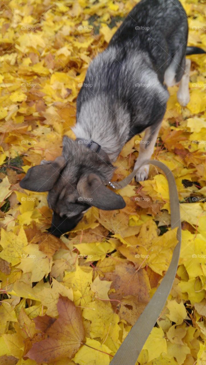 Baby's playing around