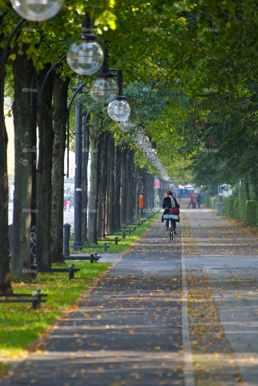Cyclist in the Großer Tiergarten, Berlin, Germany