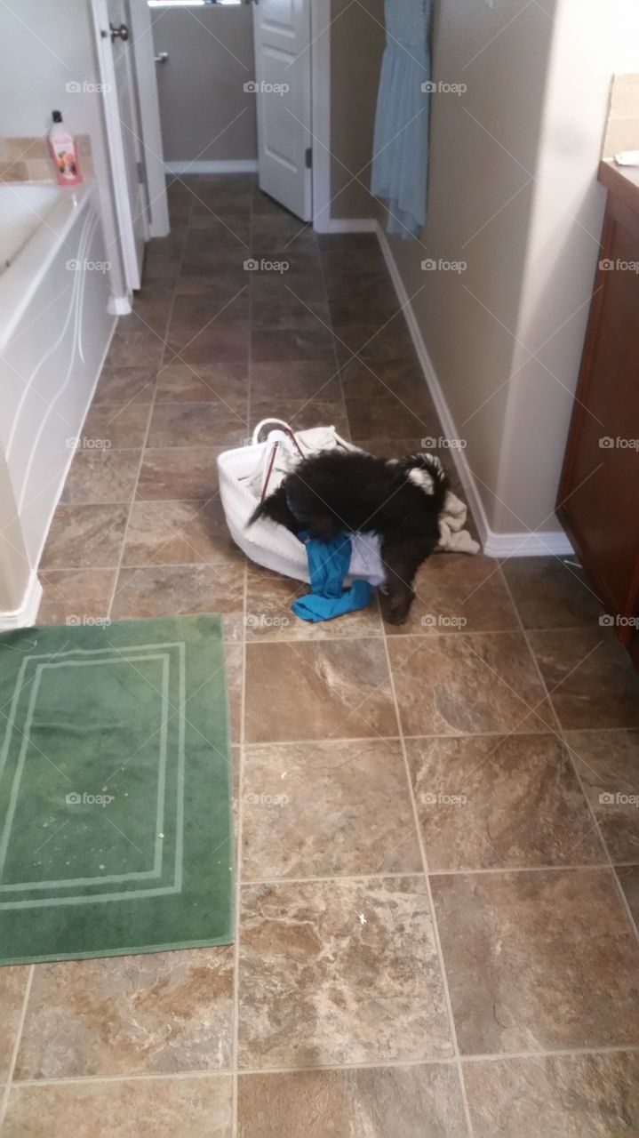 Helping with laundry