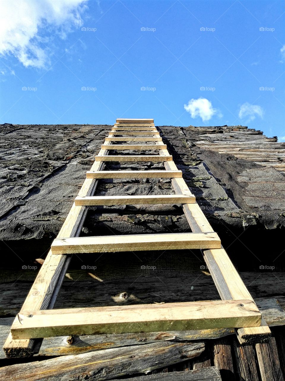 Old roof and new ladder