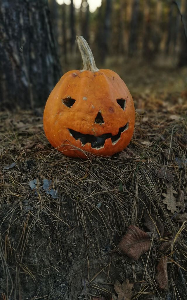 Halloween 🦇 scary amazing oranj Color nature