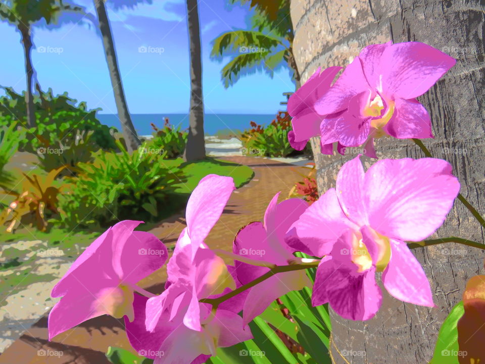 The Beach Is Calling....