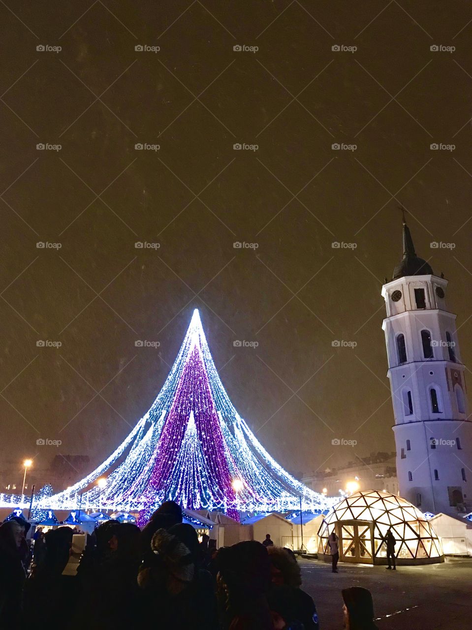 Christmas tree with lights in Vilnius 