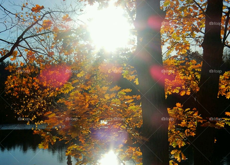 Heart shaped rays of sunlight