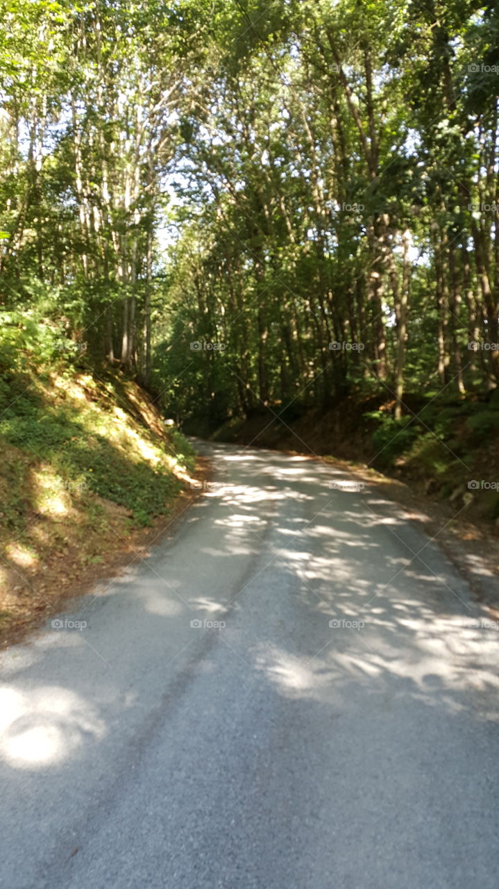 Road, Guidance, Landscape, Tree, Nature