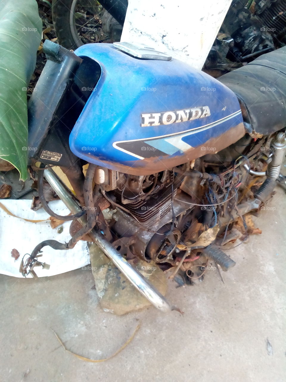 Honda CB JX