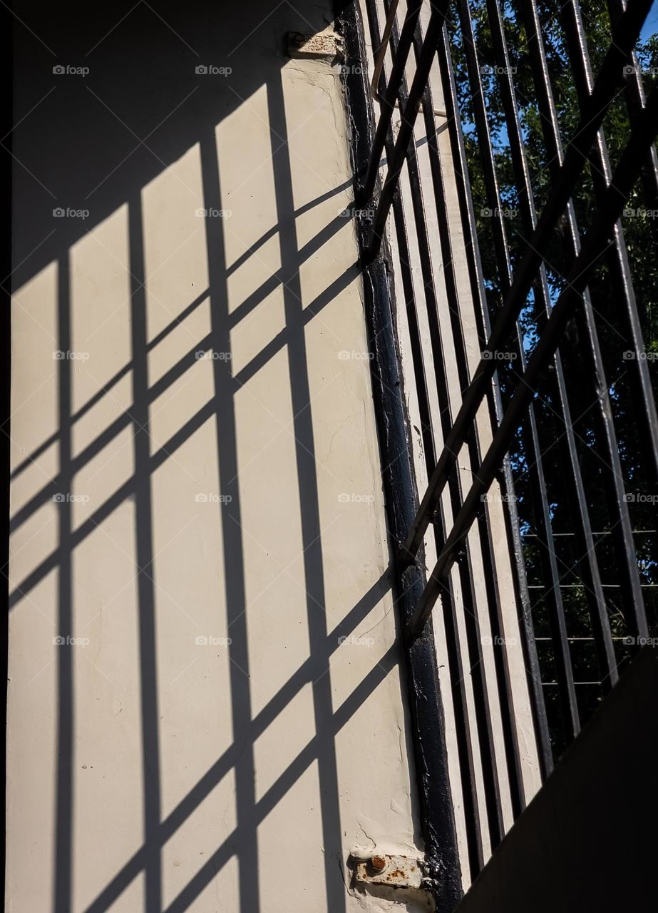 shadow of an iron grill falling on a wall