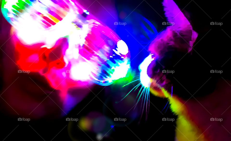 This cat has clearly gone raving, as she sniffs a fellow raver who is wearing brightly coloured lit up shutter shades