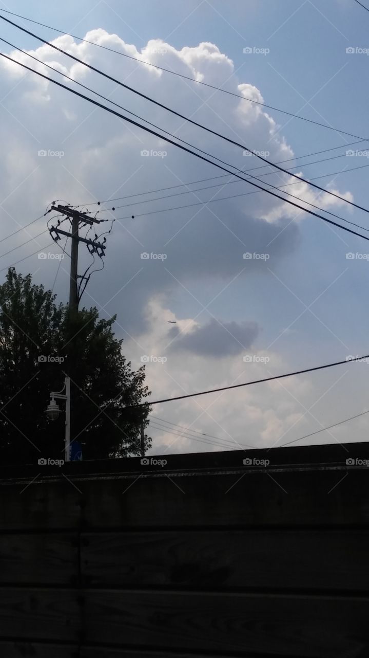 trying to see the sky