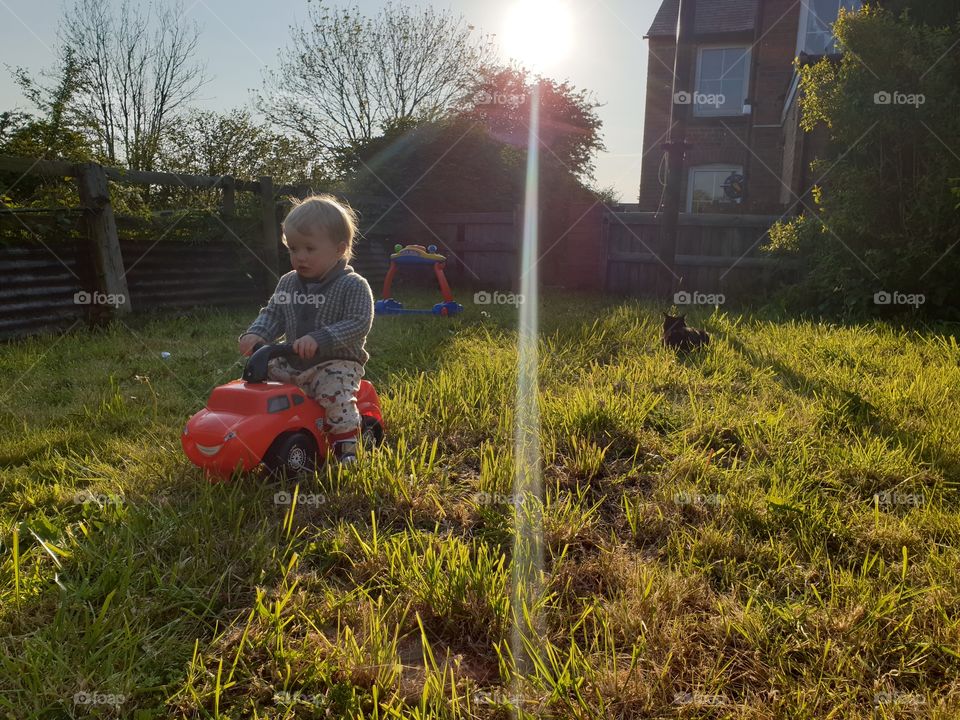 Toddler playing in garden with cat and toy car