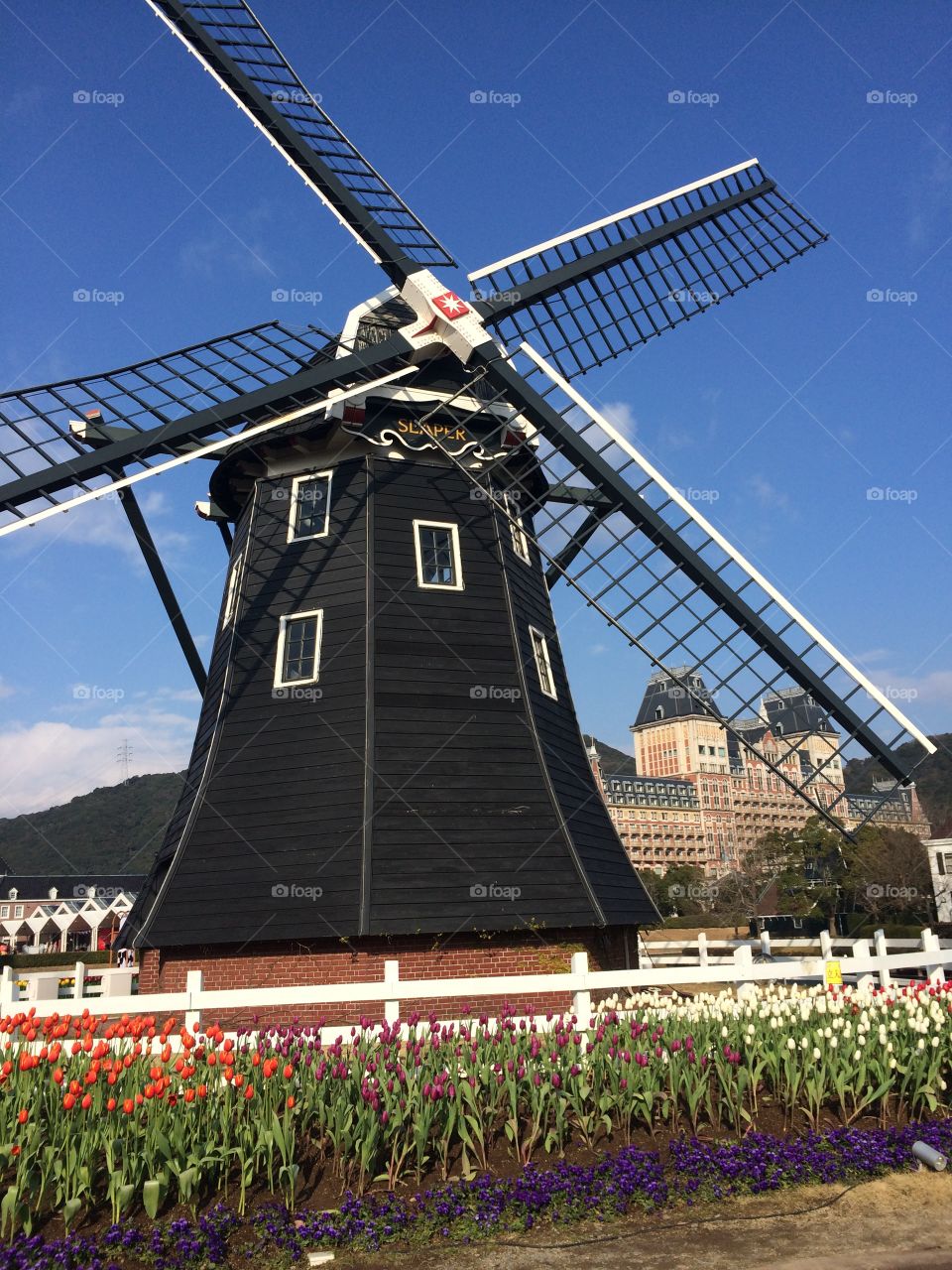Holland windmill. 